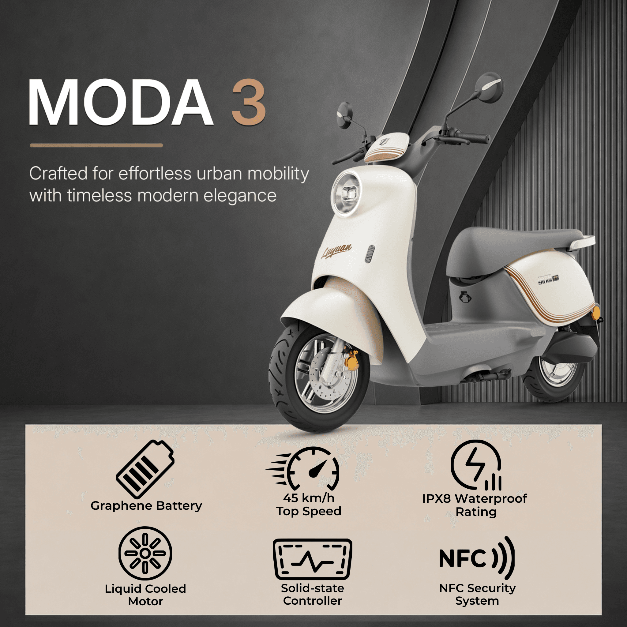 Moda 3 Detail Poster 2